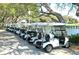 Row of parked golf carts near a tranquil pond and lush landscaping at 129 Wayforest Dr, Venice, FL 34292