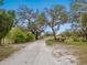 Long driveway leads to the beautiful farm estate with established trees and landscaping at 15101 Rawls Rd, Sarasota, FL 34240