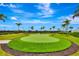 Community putting green with palm trees and green grass for golfers to practice their short game at 16111 Sunny Day Dr, Bradenton, FL 34211
