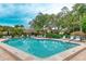 Community pool with lounge chairs surrounded by lush landscaping and a relaxing atmosphere at 333 Springdale Dr # 333, Bradenton, FL 34210