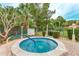 Community hot tub surrounded by well-maintained landscaping and convenient access to community amenities at 333 Springdale Dr # 333, Bradenton, FL 34210