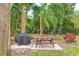Community picnic area with grill and picnic table, shaded by mature trees in landscaped surroundings at 333 Springdale Dr # 333, Bradenton, FL 34210