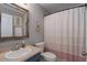 Cozy bathroom featuring a vanity sink, toilet, and a shower with a decorative curtain at 4509 Halls Mill Xing, Ellenton, FL 34222