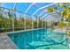 Clear swimming pool enclosed in a screened-in lanai offering privacy and sunlight at 556 Regatta Way, Bradenton, FL 34208