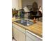 The kitchen sink features a stainless steel double basin, bright lighting, and a window view at 6012 Oak Creek Ln # 1913, Bradenton, FL 34210