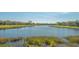 Beautiful view of the lake featuring lush greenery, mature trees, and tranquil waters at 7213 Whittlebury Trl, Lakewood Ranch, FL 34202