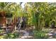 Lush backyard featuring native Florida plants, a stone path, and a screened patio at 7317 Emma Rd, Bradenton, FL 34209