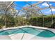 Screen-enclosed pool area with a blue tiled edge, clear water, and lush, private landscaping at 7533 Trillium Blvd, Sarasota, FL 34241