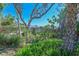 Lush backyard with tropical plants and greenery providing a serene environment at 7816 15Th Nw Ave, Bradenton, FL 34209