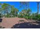 A partially shaded backyard with sparse vegetation and a sandy substrate at 7816 15Th Nw Ave, Bradenton, FL 34209