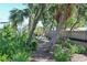 Landscaped backyard featuring mature palms, native plants and a mulch path at 7816 15Th Nw Ave, Bradenton, FL 34209