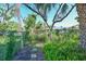 Well-maintained backyard featuring thriving ferns and tropical plants along a fence at 7816 15Th Nw Ave, Bradenton, FL 34209