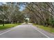 A street view showcasing a tree-lined street and well-manicured lawns, capturing the neighborhood's curb appeal at 866 Placid Lake Dr, Osprey, FL 34229