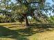 Spacious backyard featuring green grass and lush trees, creating a peaceful outdoor setting at 8681 Daydream St, Sarasota, FL 34238