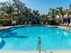 Sparkling community pool surrounded by lush landscaping and comfortable lounge chairs at 8681 Daydream St, Sarasota, FL 34238
