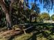 Scenic picnic area with wooden table under the shade of mature trees, perfect for outdoor gatherings at 8681 Daydream St, Sarasota, FL 34238