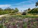 Expansive, well-manicured front yard featuring lush greenery and a beautifully landscaped garden at 1909 Field Rd, Sarasota, FL 34231