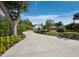 Long driveway leading to a modern home, surrounded by lush landscaping and mature trees at 1909 Field Rd, Sarasota, FL 34231