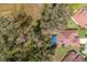 Aerial view of the property showing the pool, mature trees and lush landscaping at 3408 Brookridge Ln, Parrish, FL 34219