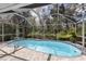 Sparkling swimming pool enclosed within a screened lanai, surrounded by vibrant landscaping at 3408 Brookridge Ln, Parrish, FL 34219