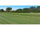 Expansive greenspace in the community is lined with manicured hedges and lush trees at 4141 Entrada Ct, Sarasota, FL 34238