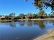 Community pond surrounded by lush trees, with houses in the background at 4210 Overture Cir, Bradenton, FL 34209