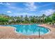 Resort-style swimming pool with surrounding lounge chairs and lush landscaping with palm trees at 4210 Overture Cir, Bradenton, FL 34209