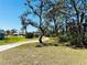 Street-level view of a home with large trees and a grass lawn at 616 Shore Rd, Nokomis, FL 34275