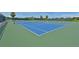Bright blue tennis courts surrounded by lush green landscaping and palm trees under a sunny sky at 8211 Summer Greens Ter, Bradenton, FL 34212