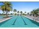 Beautiful lap pool with palm trees and plenty of space for swimming at 8227 Nevis Run, Bradenton, FL 34202