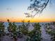 Stunning beach view at sunset showcasing lush plants and oceanfront serenity at 1216 N Casey Key Rd, Osprey, FL 34229