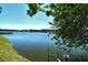 Scenic lake view surrounded by lush greenery, offering a tranquil and picturesque setting at 3108 Lake Bayshore Dr # 211, Bradenton, FL 34205