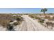 Sandy path leading to the beach with tire tracks, dune grasses, and a palm tree under a clear blue sky at 4822 Ocean Blvd # 11E, Sarasota, FL 34242