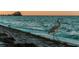 Scenic waterfront view of local wildlife with a great blue heron strolling along the beach at 525 68Th St St, Holmes Beach, FL 34217