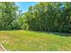Large, grassy backyard with mature trees and lush landscaping, offering plenty of space for outdoor activities at 6156 41St E St, Bradenton, FL 34203