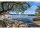 Seaside view under a tree canopy with a beach chair overlooking the water, with a blue sky at 750 N Tamiami Trl # 604, Sarasota, FL 34236