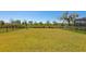 Expansive backyard enclosed by a classic black fence, offering privacy and space at 8262 Velda Trl, Sarasota, FL 34241