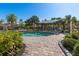 Community pool with chairs, sunshades, and palm trees in a landscaped outdoor area for recreation and relaxation at 8323 Enclave Way # 104, Sarasota, FL 34243