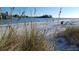 Picturesque beach landscape with native grasses, a wading heron, and calm blue waters in the background at 1412 56Th W St # 1412, Bradenton, FL 34209