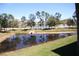 Community pond offers a peaceful view and is lined with trees at 2060 Willow Hammock Cir # 201, Punta Gorda, FL 33983