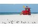 Beautiful white sand beach with lifeguard station flying flags, and a flock of seagulls enjoying the sun and sand at 2308 Tulip St, Sarasota, FL 34239