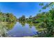 Beautiful lake view surrounded by lush tropical landscaping at 417 Tortuga Dr, Nokomis, FL 34275