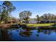 The backyard offers a tranquil pond view at 4627 Breezy Pines Blvd, Sarasota, FL 34232