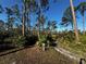 Picturesque nature trail surrounded by tall pine trees and lush greenery under a clear blue sky at 9031 Hilolo Ln, Venice, FL 34293