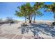 Sandy beach features palm trees, seating, and picnic tables for a relaxing day at the beach at 1001 Benjamin Franklin Dr # 511, Sarasota, FL 34236