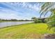 A peaceful backyard with lake views and lush vegetation, offering a serene outdoor experience at 1290 Cielo Ct, North Venice, FL 34275