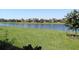 Waterfront backyard with lush grass and serene views of the surrounding neighborhood at 1290 Cielo Ct, North Venice, FL 34275