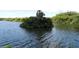Scenic view of a serene lake with lush greenery at 1674 University Pkwy # 389, Sarasota, FL 34243