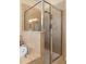 The frameless glass shower features tile surround and chrome hardware at 2183 Nettlebush Ln, Venice, FL 34292