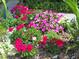 Lovely garden bursting with an array of colorful flowers and lush greenery creating a serene outdoor space at 315 Londonderry Dr, Sarasota, FL 34240